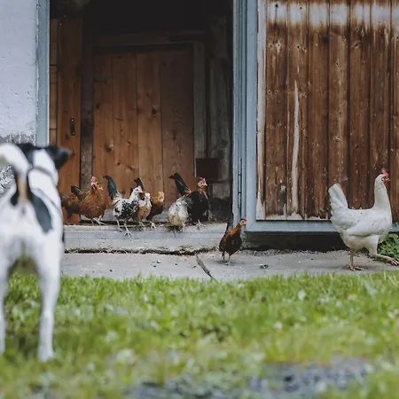 In Fusch An Der Glocknerstrasse In Nature Appartement Fusch an der Grossglocknerstrasse